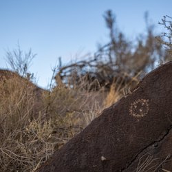 Boca Negra Canyon - Boca Negra Canyon - Petroglyph National Monument