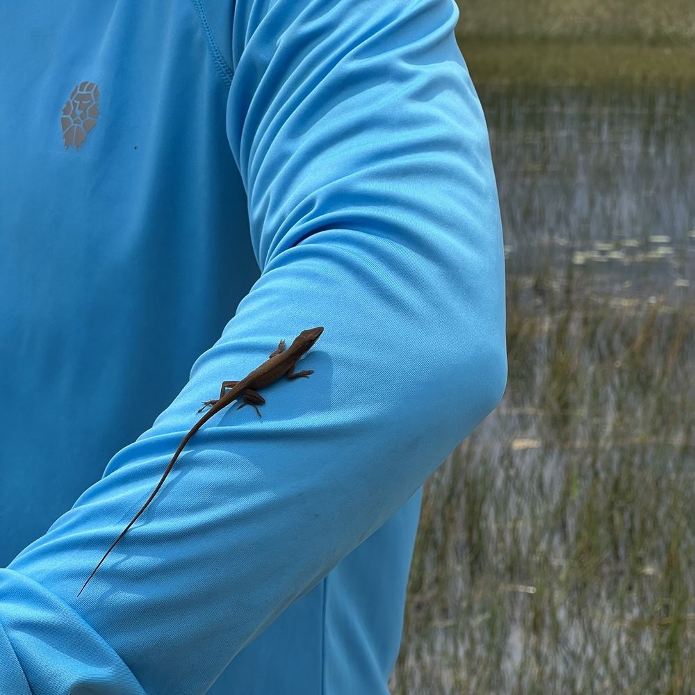Everglades Airboat Expeditions - Boat Tours Near Me Everglades Airboat Expeditions - Boat Tours Near Me
