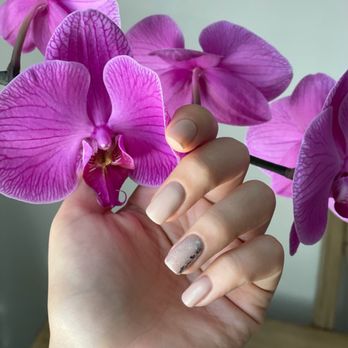 Elite European Day Spa - Classic nude nails - Day Spas Near Me - Norfolk, Virginia