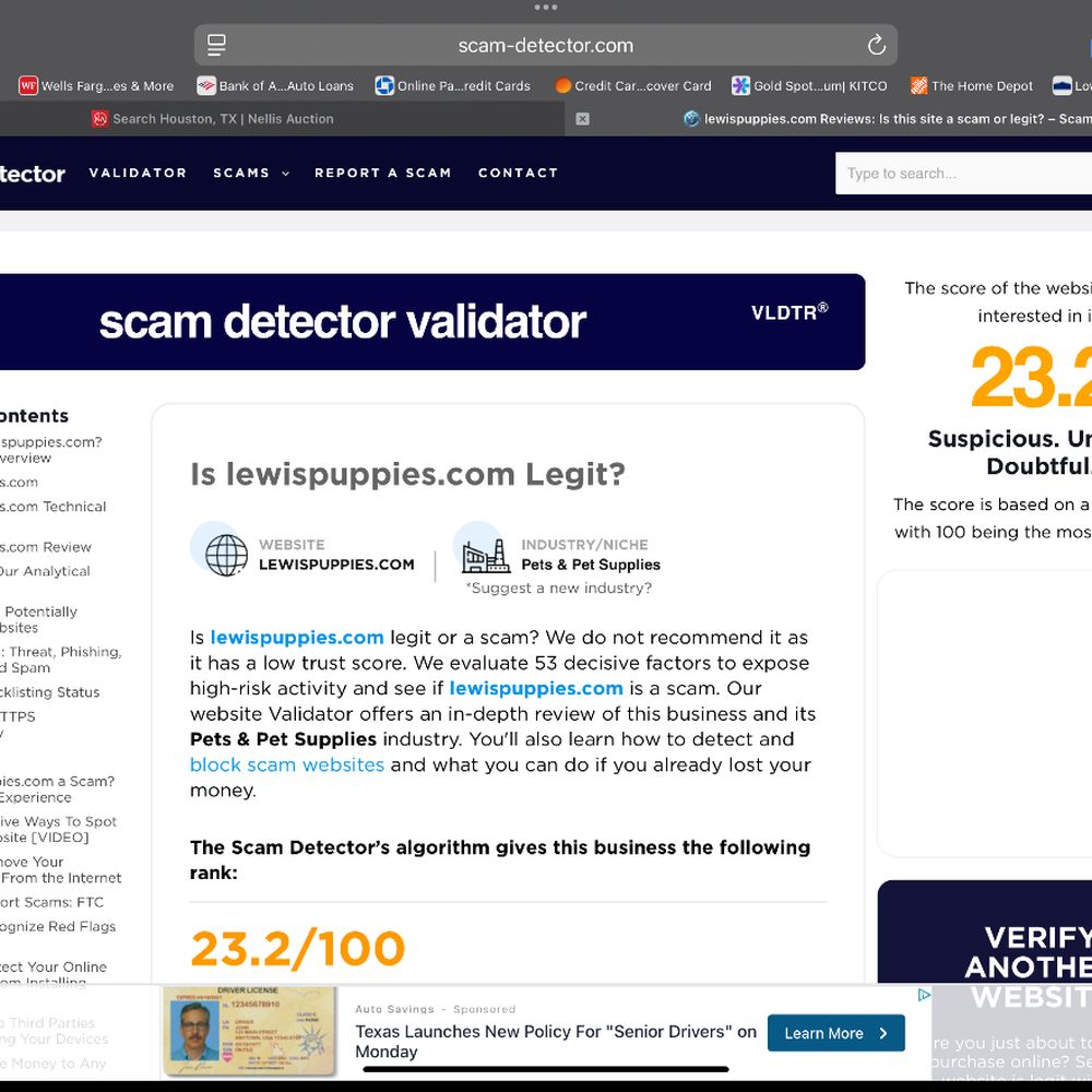 Lewis Teacup Puppies - Online scam detection - Pet Breeders Near Me Lewis Teacup Puppies - Online scam detection - Pet Breeders Near Me