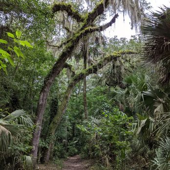 Enchanted Forest Sanctuary - Hiking Near Me - Titusville, Florida Enchanted Forest Sanctuary - Hiking Near Me - Titusville, Florida
