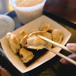 Pan Fried Chicken Dumplings
