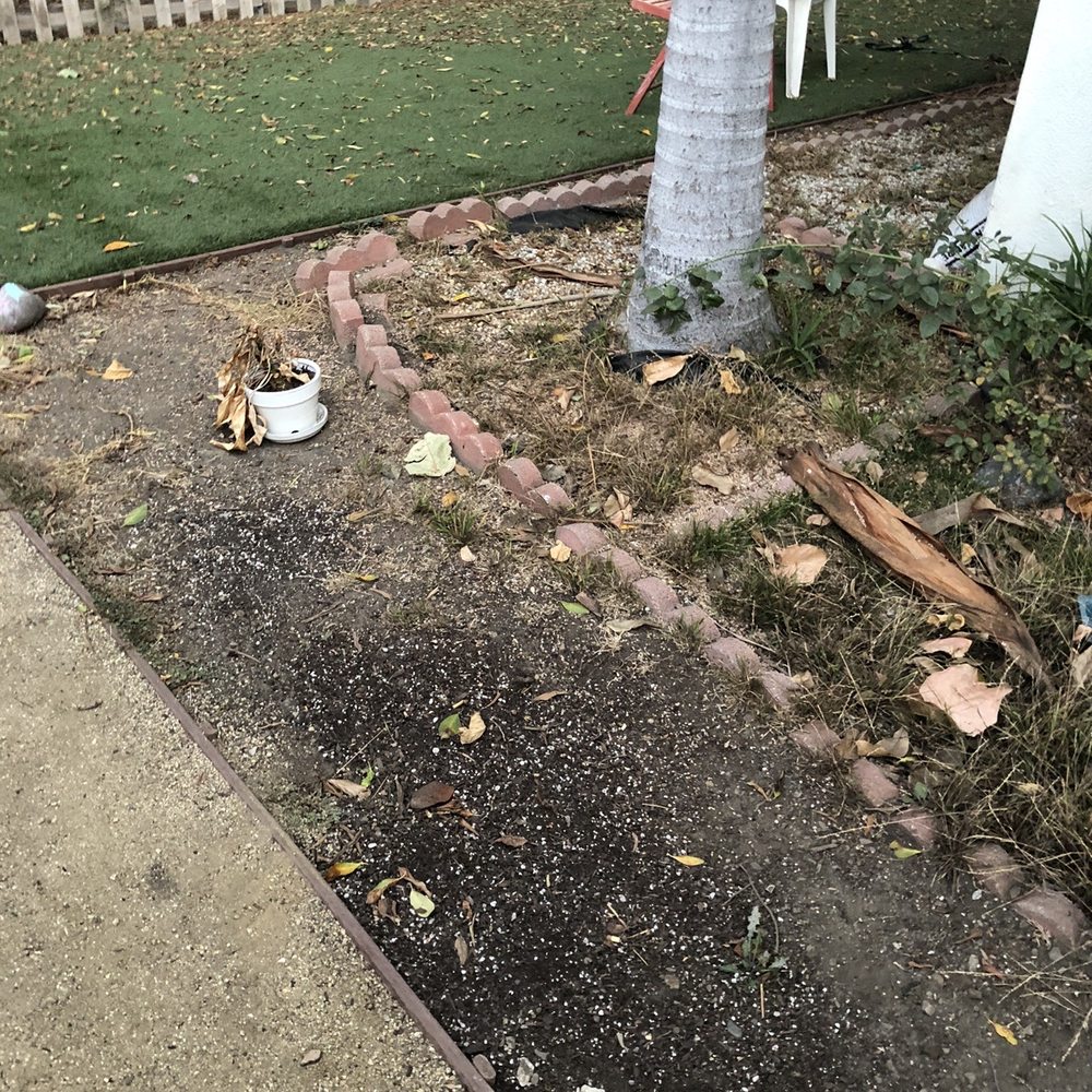 No yard maintenance