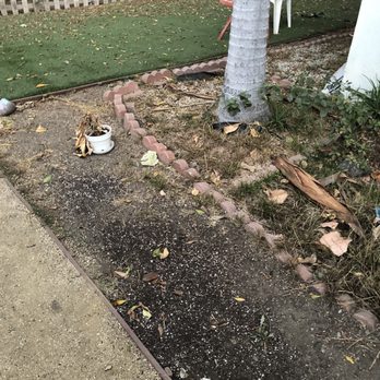 Braum Real Estate - No yard maintenance - Real Estate Services Near Me - Van Nuys, California Braum Real Estate - No yard maintenance - Real Estate Services Near Me - Van Nuys, California
