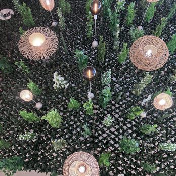 Coco House - Ceiling decoration - Coffee & Tea Near Me - Westminster, California