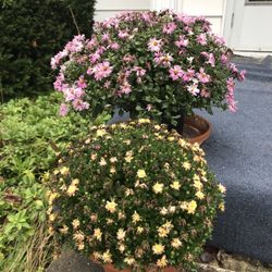 Holleydale Farms & Gardens