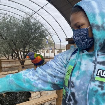 Rooster Cogburn Ostrich Ranch - My daughter and a friendly little parakeet - Petting Zoos Near Me - Picacho, Arizona Rooster Cogburn Ostrich Ranch - My daughter and a friendly little parakeet - Petting Zoos Near Me - Picacho, Arizona