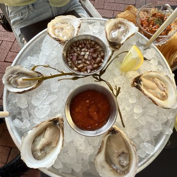 Dog & Deer Tavern - Oysters - Bars Near Me - Stockton, New Jersey