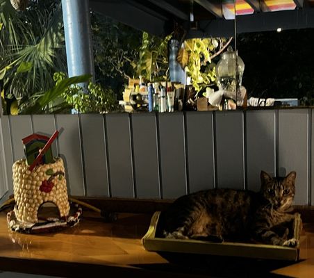 Olga's Fancy by null