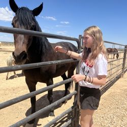 Renewed Hope Ranch - Scout the day i got there.