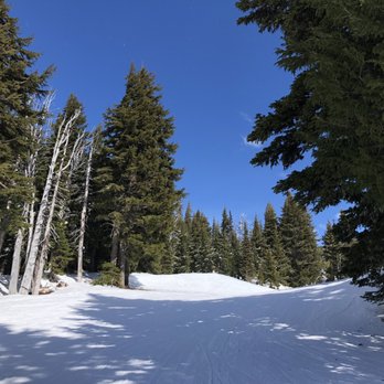 Mt. Hood Meadows - Nice run! Well groomed! - Ski Resorts Near Me - Mt. Hood, Oregon Mt. Hood Meadows - Nice run! Well groomed! - Ski Resorts Near Me - Mt. Hood, Oregon