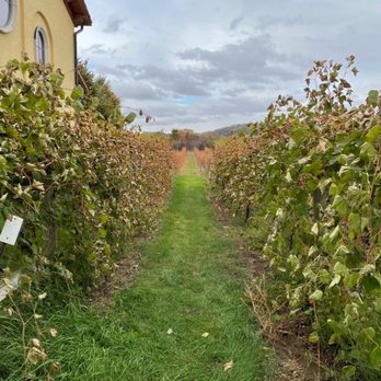Villa Bellezza - Wineries Near Me - Pepin, Wisconsin
