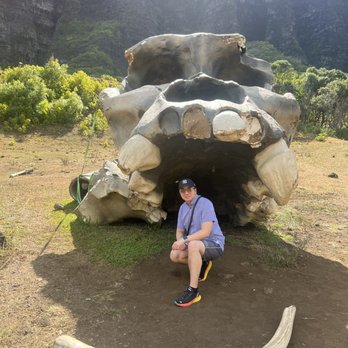 Kualoa Ranch - Tours Near Me - Kaneohe, Hawaii Kualoa Ranch - Tours Near Me - Kaneohe, Hawaii
