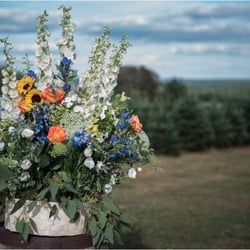 Accessory To The Bride - Allen Tree Hill Farm, Brooklyn, CT
