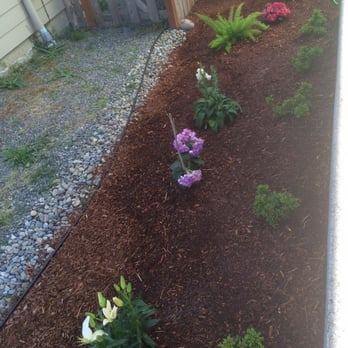 Ricky's Landscaping and Gardening Services - The flowers and azalea hedge. - Gardeners Near Me
