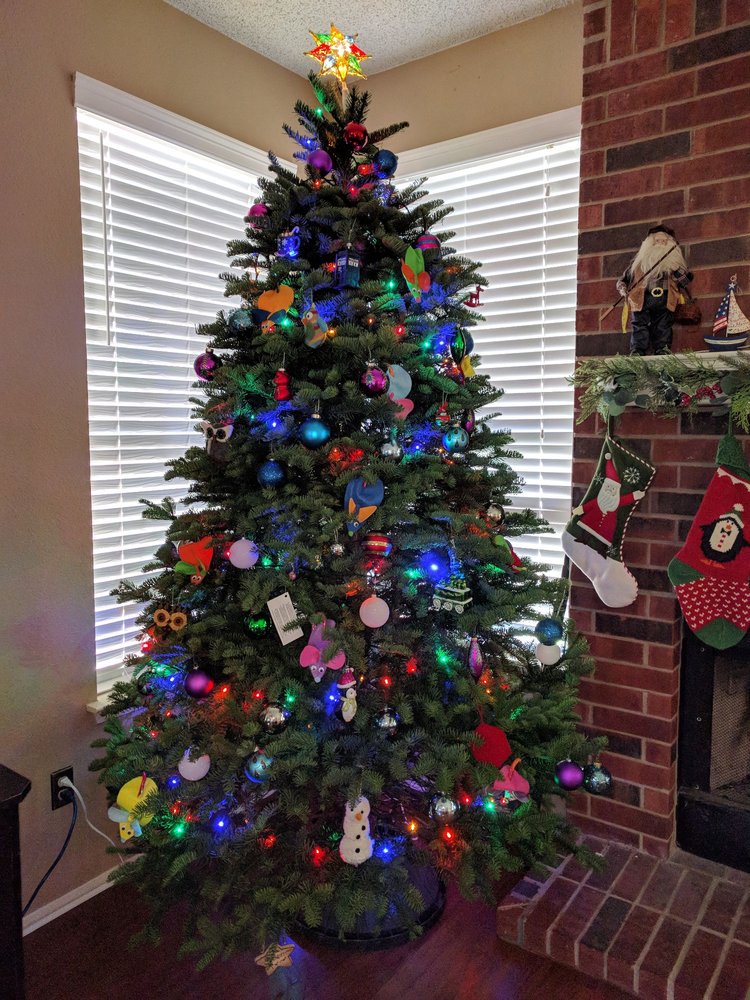 MONTANA FRESH CHRISTMAS TREES 14 Photos & 22 Reviews 7601 Rd