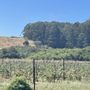 Photo of Rancho Oso Roble