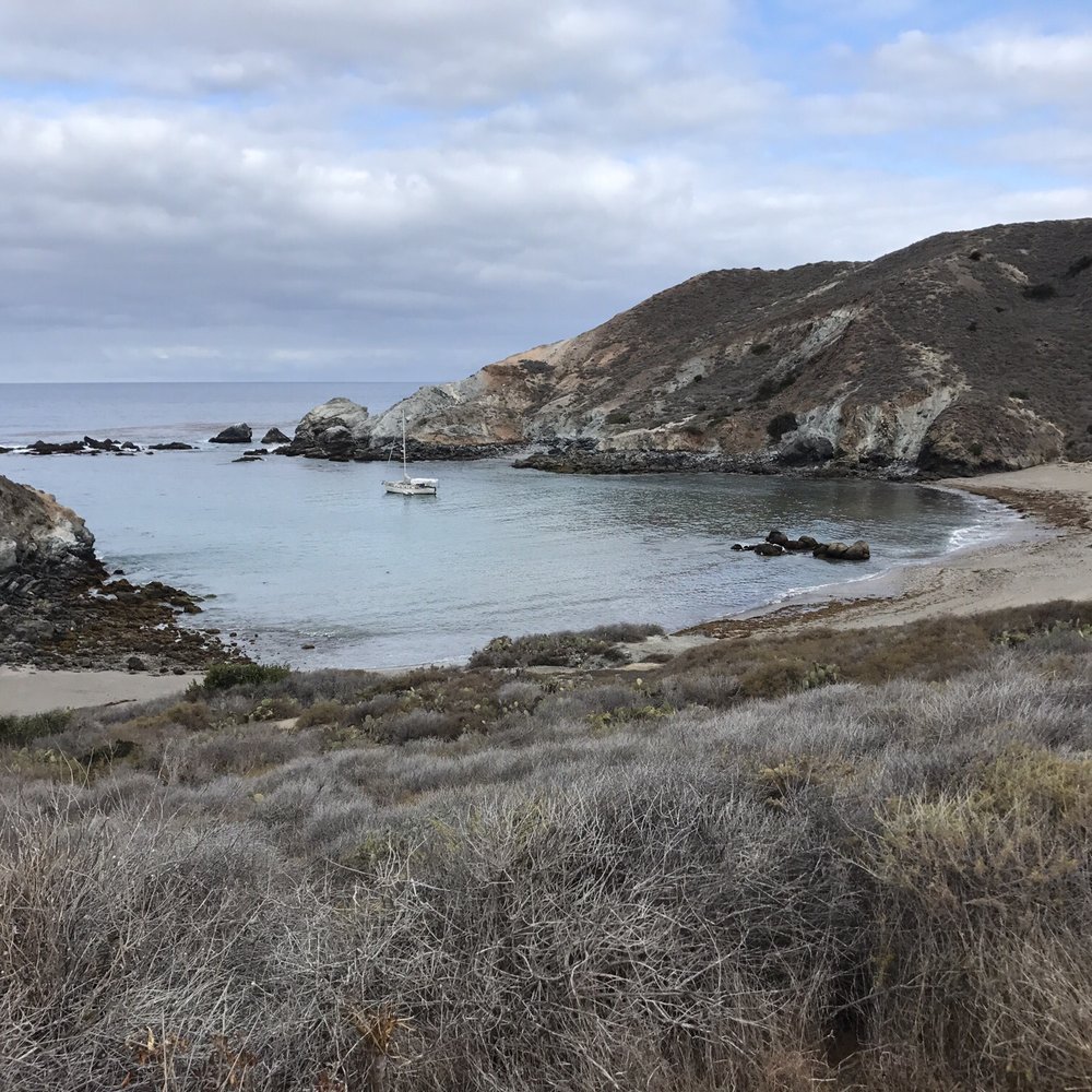 Little Harbor Campground - Our view! Secluded and overcast.....so many hiking trails! - Campgrounds Near Me - Avalon, California Little Harbor Campground - Our view! Secluded and overcast.....so many hiking trails! - Campgrounds Near Me - Avalon, California