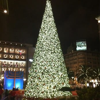 Macy's Christmas Tree - Local Flavor Near Me - San Francisco, California Macy's Christmas Tree - Local Flavor Near Me - San Francisco, California