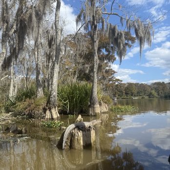 Cajun Encounters Tour Company - Sunbathing in the sun - Tours Near Me - Slidell, Louisiana