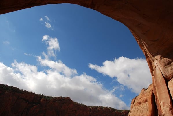 Navajo National Monument by null