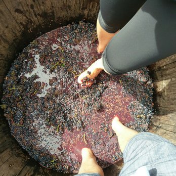 Vina Robles - Food old fashion grape squashing. - Wineries Near Me - Paso Robles, California Vina Robles - Food old fashion grape squashing. - Wineries Near Me - Paso Robles, California