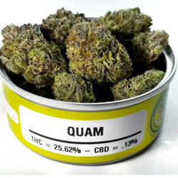 CEAS Collective - Quam - Cannabis Delivered