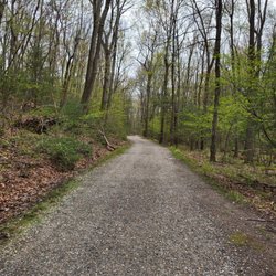 Carpenter's Falls