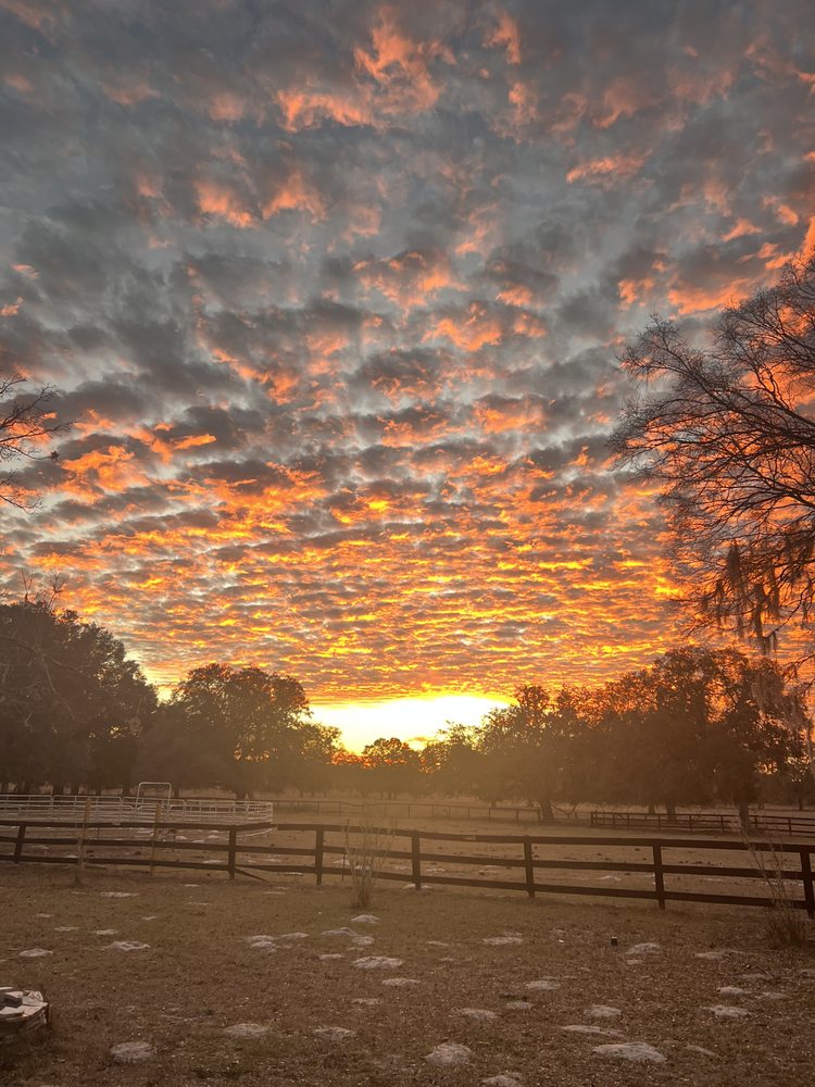 Life Renewal - grief counselor in Old Town, FL