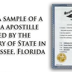 Marrero Notary Services - Sample Florida Apostille