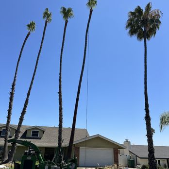 J Rojas Tree Services - Tree Services Near Me J Rojas Tree Services - Tree Services Near Me