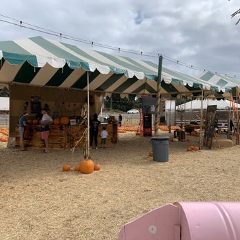 Deluca Farm - Pumpkin Patches Near Me - San Pedro, California Deluca Farm - Pumpkin Patches Near Me - San Pedro, California
