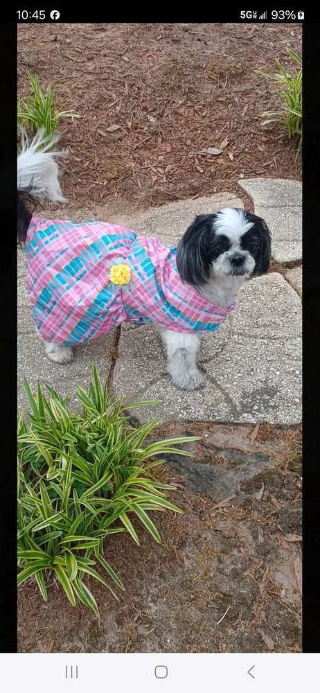 Smith Animal Hospital Image