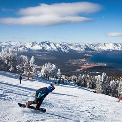 Snow Schoolers