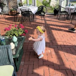 Arborvine - Our girl loved the terrace and frog pond