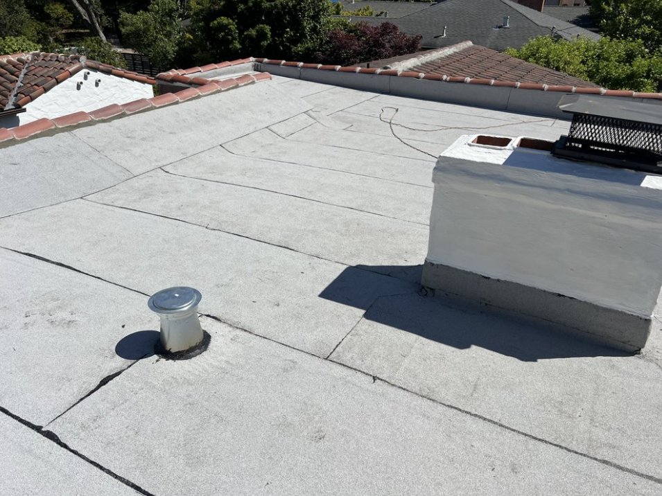 Slide of Emilio Torres