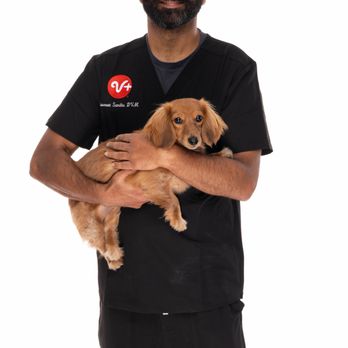 PetSmart Veterinary Services - Veterinarians Near Me - Oceanside, California PetSmart Veterinary Services - Veterinarians Near Me - Oceanside, California