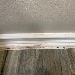 Dirt like this all over the house. Dirt like this all over the house.