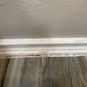 The Platinum Experience - Dirt like this all over the house. - Vacation Rentals Near Me - Scottsdale, Arizona The Platinum Experience - Dirt like this all over the house. - Vacation Rentals Near Me - Scottsdale, Arizona