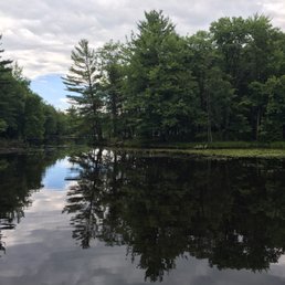 Park views