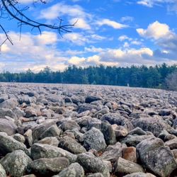 Boulder Field