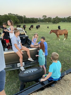 Rockin’ Star Ranch by null