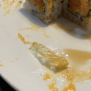OMG Sushi - Plastic - Sushi Bars Near Me - Newport News, Virginia OMG Sushi - Plastic - Sushi Bars Near Me - Newport News, Virginia