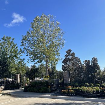 Moon Valley Nurseries - Nurseries & Gardening Near Me - McKinney, Texas