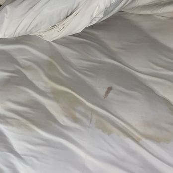 Super 8 by Wyndham Lancaster - Body fluids? Piss? - Hotels Near Me - Lancaster, South Carolina Super 8 by Wyndham Lancaster - Body fluids? Piss? - Hotels Near Me - Lancaster, South Carolina