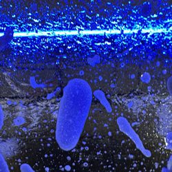 Everclean Car Wash - Arlington Heights - Inside
