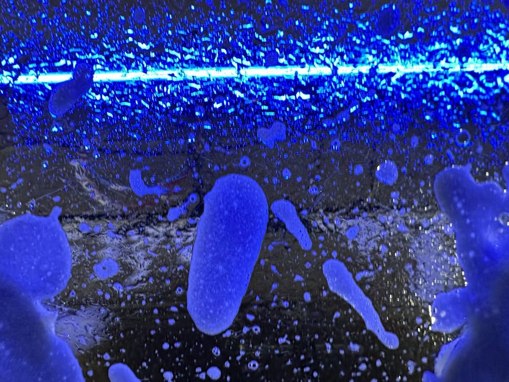 EVERCLEAN CAR WASH ARLINGTON HEIGHTS Updated September 2024 22