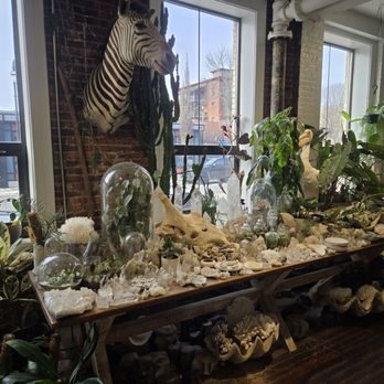 Seed To Stem - Antiques Near Me - Worcester, Massachusetts