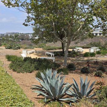 Allen Jones Park - Parks Near Me - San Diego, California