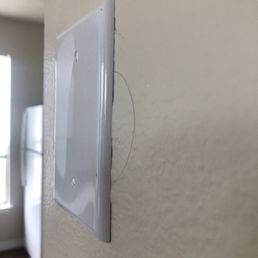 Hair in a light switch cover?! Hair in a light switch cover?!